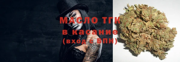 ПСИЛОЦИБИНОВЫЕ ГРИБЫ Новозыбков