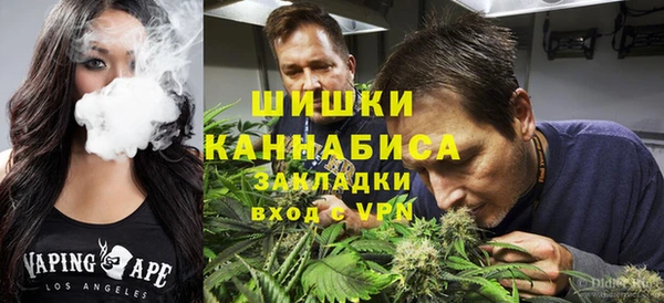 стаф Аркадак