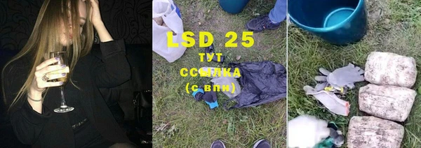 ПСИЛОЦИБИНОВЫЕ ГРИБЫ Новозыбков