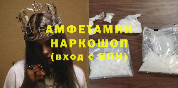 стаф Аркадак
