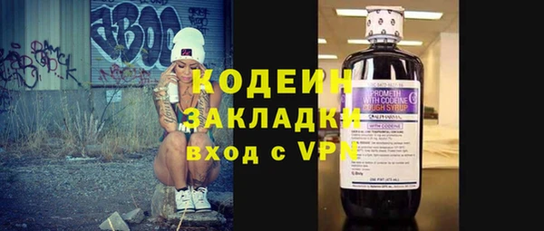 ПСИЛОЦИБИНОВЫЕ ГРИБЫ Новозыбков