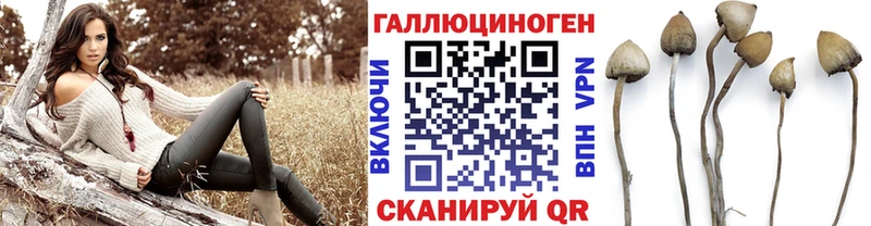 Псилоцибиновые грибы Psilocybe  Сланцы 